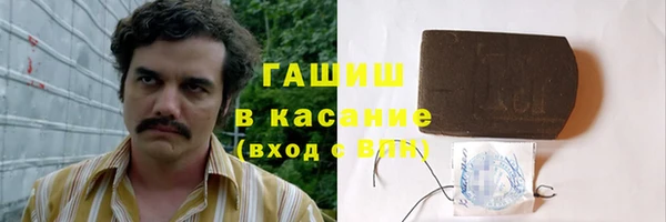 хмурый Алексин