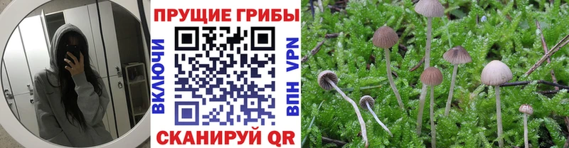shop как зайти  Ялта  гидра ссылки  Галлюциногенные грибы мицелий  продажа наркотиков 
